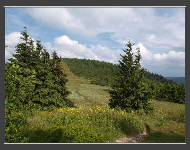 Nízké Tatry, Žiarské sedlo