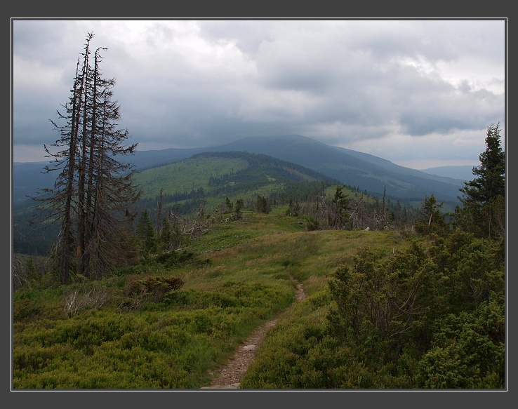 Nízké Tatry, mezi Andrejcovou a sedlem Priehybka