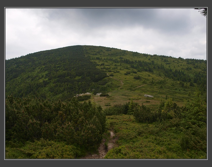 Nízké Tatry, mezi Andrejcovou a sedlem Priehybka