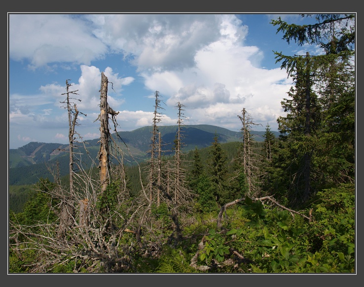 Nízké Tatry, Kolesárová