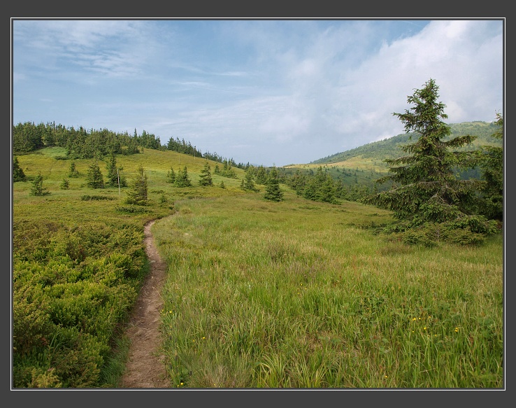 Nízké Tatry, sedlo pod Homôľkou