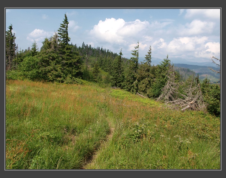 Nízké Tatry, Havrania poľana