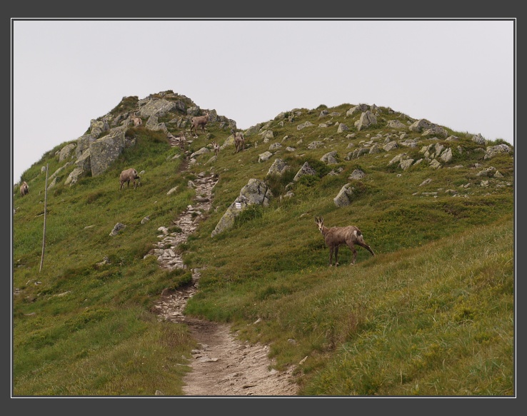 Nízké Tatry, Kotliska