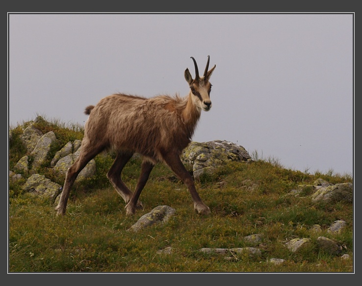 Nízké Tatry, Kotliska