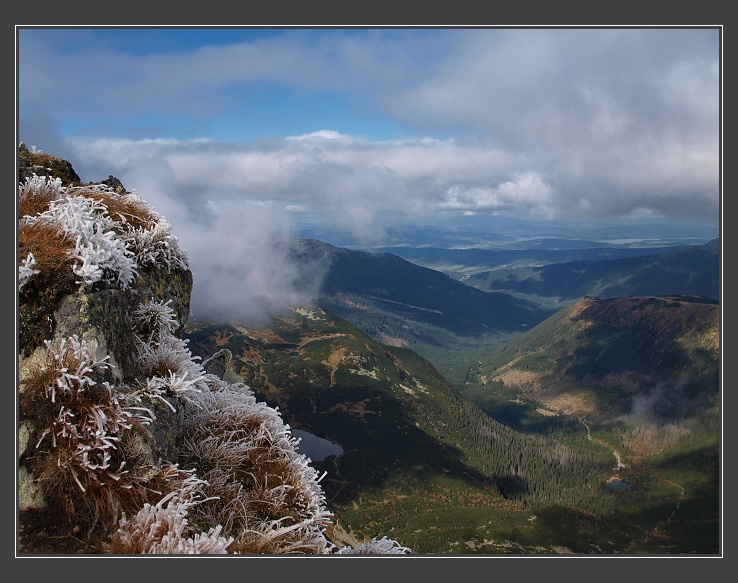 z Jamnického sedla na Ostrý Roháč