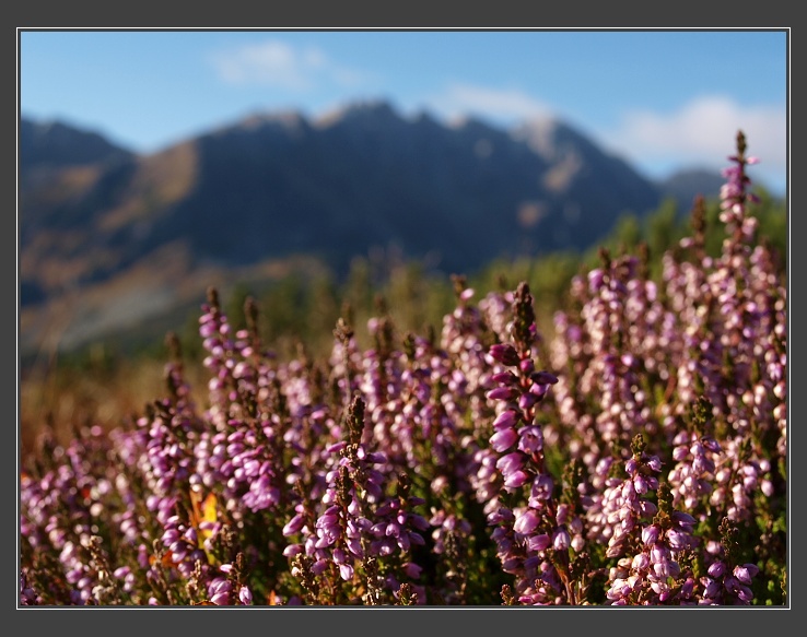 výstup do sedla Zábrať