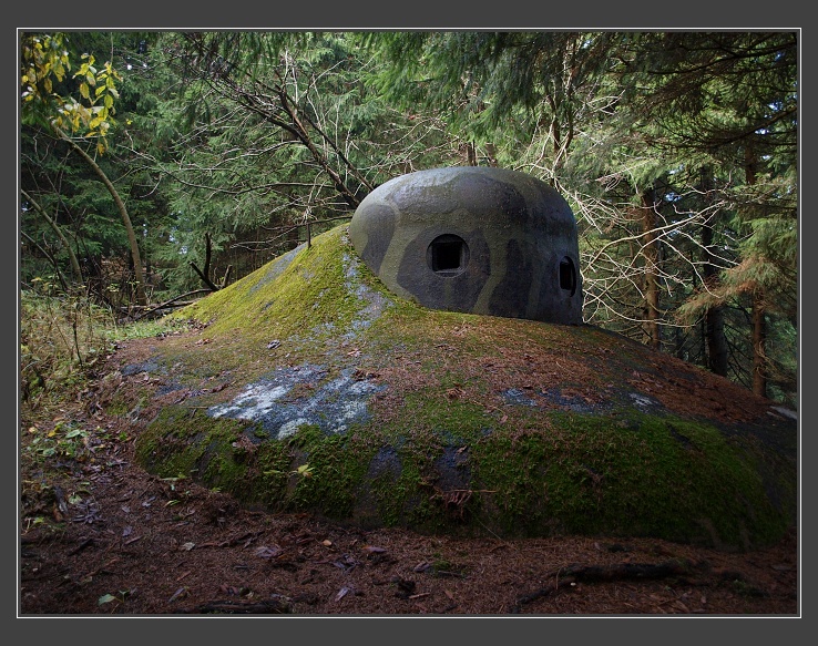 Orlické hory, přes Komáří vrch, R-S 90/II "Levý"