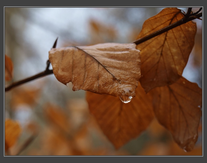 Babí lom u Lelekovic