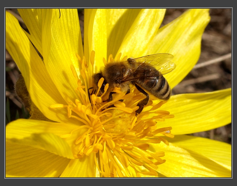PR Kamenný vrch nad Kurdějovem