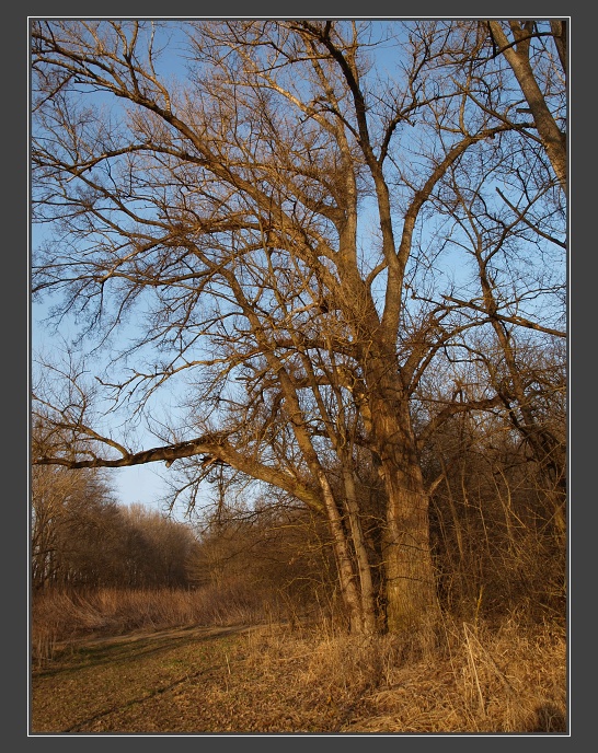 v údolí Štinkovky