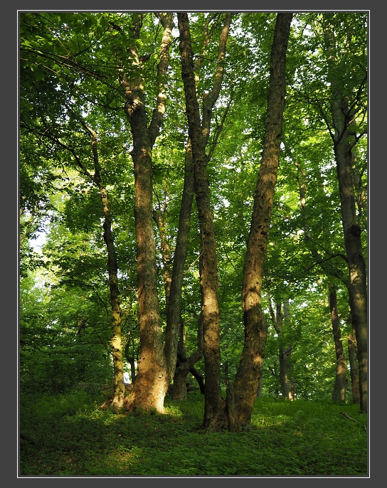 na vrcholu Prieľaciny