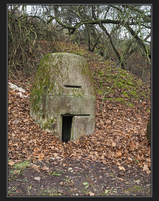 Stránská skála