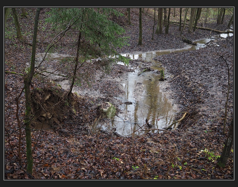 Hostěnické propadání