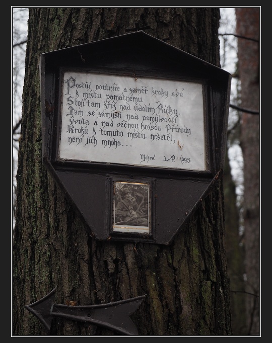 odbočka na Pacherův kříž