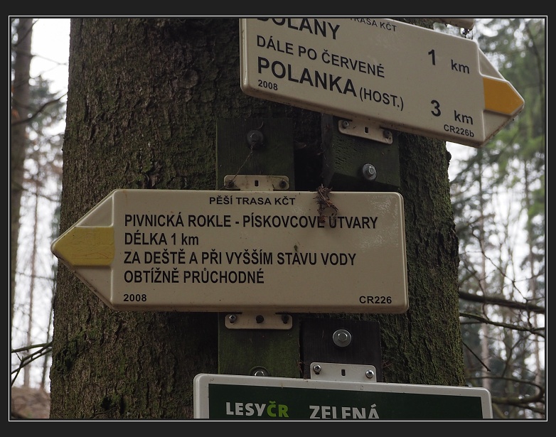 Pivnická rokle