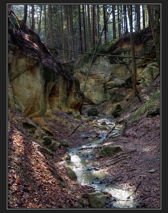 Pivnická rokle