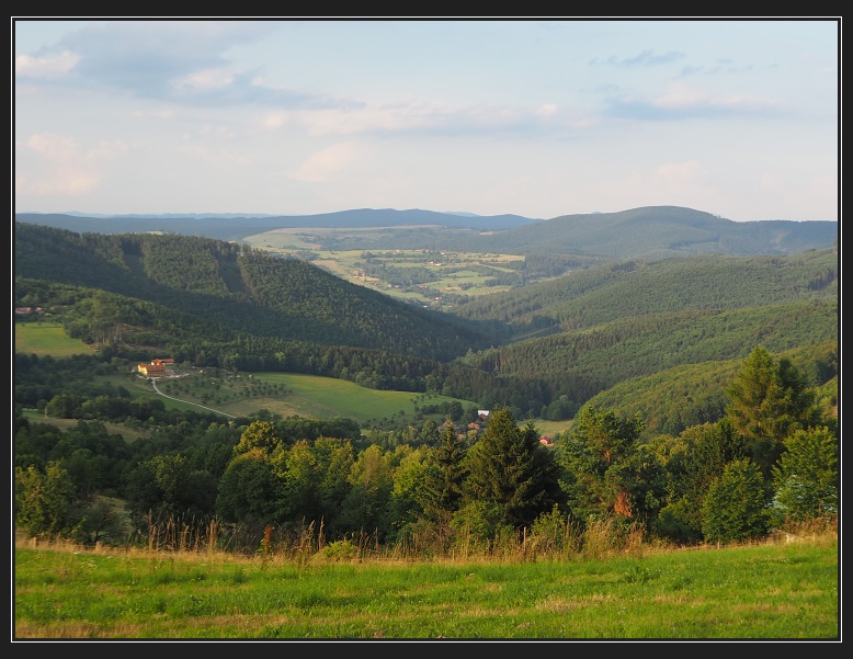 Vyškovec