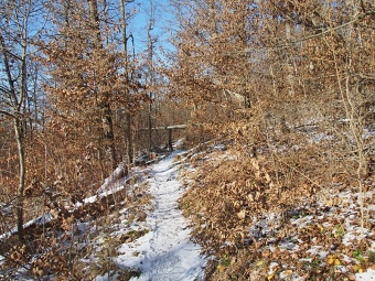 Soběšice, pěšina Karla Morávka