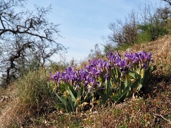 údolí říčky Rokytné