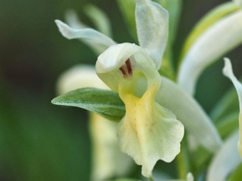 Přírodní park Baba