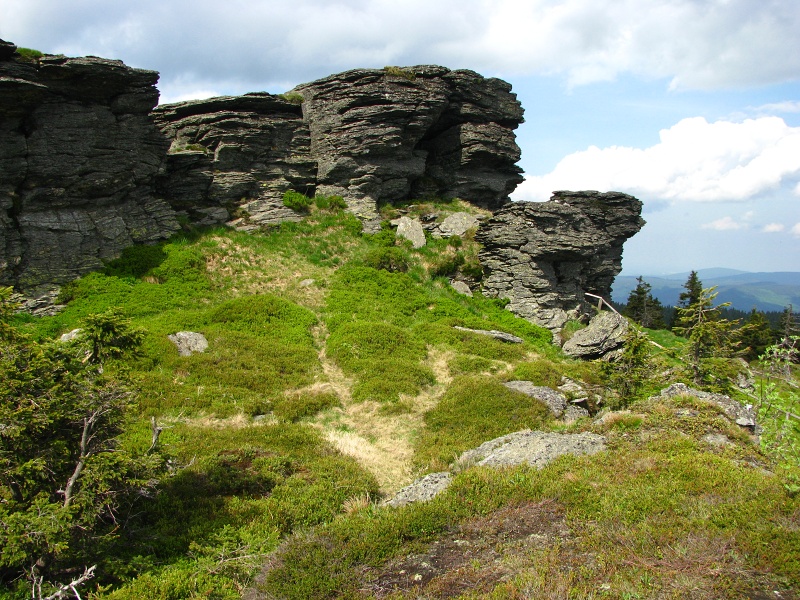 Vozka