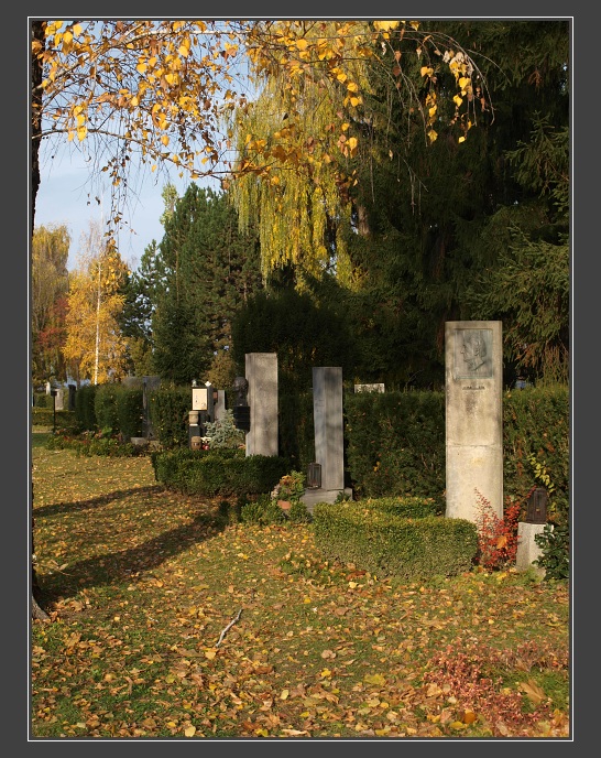 Ústřední hřbitov města Brna