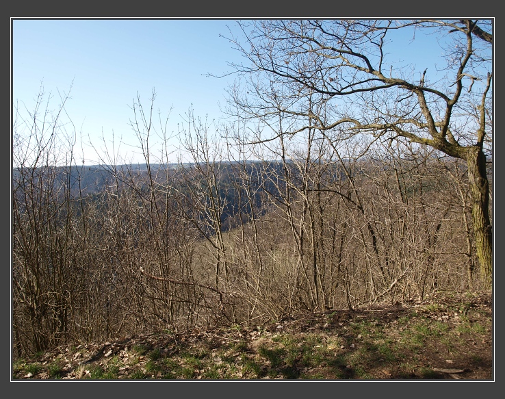 údolí Oslavy a Chvojnice, vyhlídka Zavřelovo panorama 