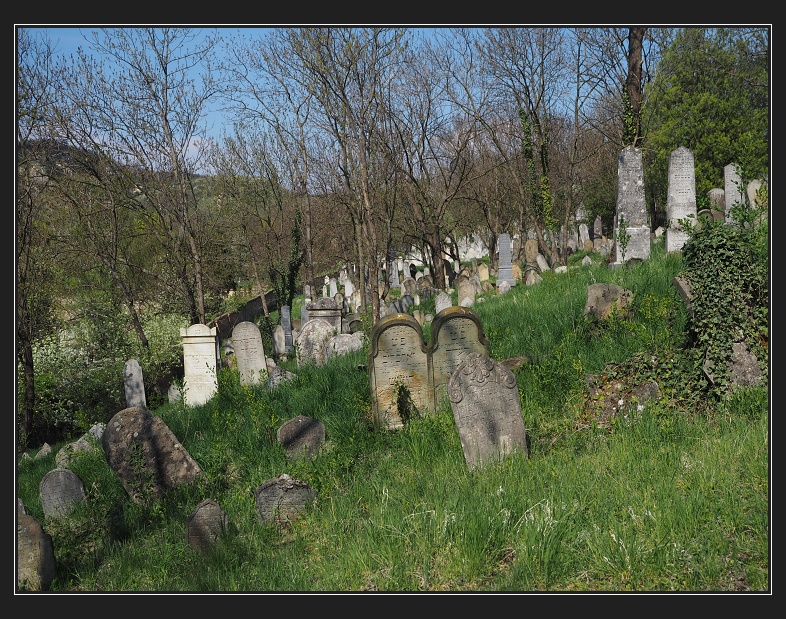 Mikulov, židovský hřbitov