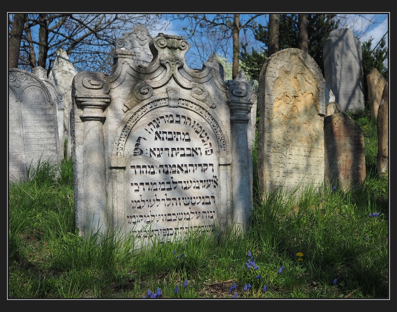 Mikulov, židovský hřbitov